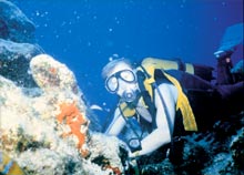 Sentido Lykia Resort & Spa 5* (ex. Lykia World Oludeniz Residence)