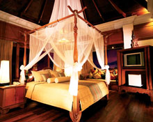 Diamond Cliff Resort