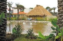 IC Hotels Green Palace