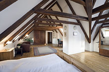 Archibald at the Charles Bridge