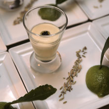 Metropole Monte Carlo