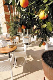 Monte Carlo Bay Hotel & Resort