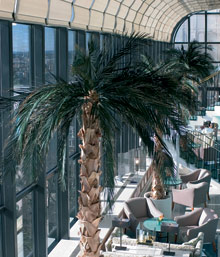 Jumeirah Carlton Tower