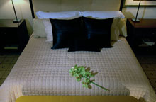 The Ritz-Carlton South Beach