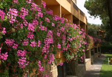 Roccamare Hotel & Residence