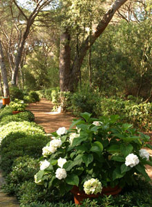 Roccamare Hotel & Residence