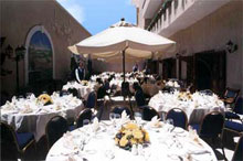 Golden Tulip Vivaldi