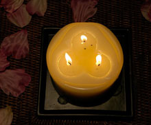 Les Barmes De L`Ours