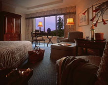 Four Seasons Hotel Tokyo at Chinzan-so