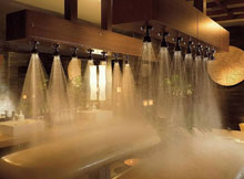 Four Seasons Hotel Tokyo at Chinzan-so