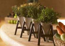 The Naka Island Phuket (ex. Six Senses Sanctuary Phuket)