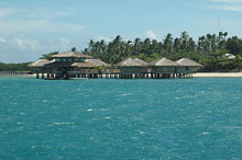 Dos Palmas Arreceffi Island Resort