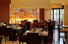 Paradisus Palma Real