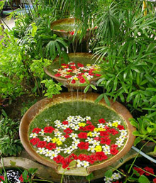 Badian Island Resort & Spa