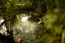 Cornelia Diamond Golf Resort & Spa