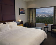 Hotel Nikko Mexico