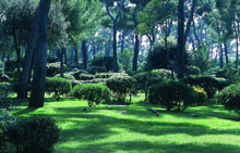 Hotel du Cap Eden-Roc