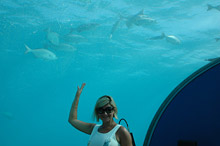 Conrad Maldives Rangali Island