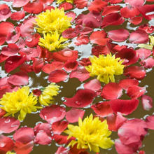 The Vijitt Resort Phuket