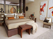 Per aquum Desert Palm