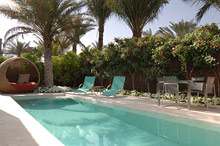 Per aquum Desert Palm