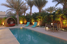 Per aquum Desert Palm