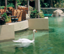 The Fairmont Acapulco Princess