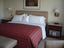 Sheraton Santiago Hotel and Convention Center