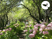 Lodge Andino El Ingenio