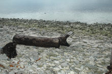 Shangri-La's Villingili Resort & Spa