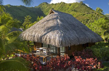 Hilton Moorea Lagoon Resort & Spa