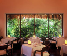 Esencia Riviera Maya