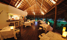 Esencia Riviera Maya