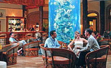 Iberostar Paraiso Lindo