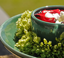 Banyan Tree Mayakoba