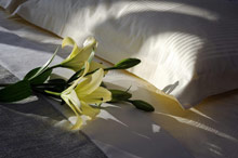 Monte Mulini (Ровинь)