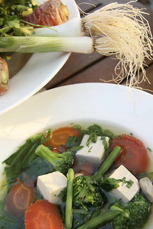 Ananda in the Himalayas