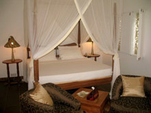 Lion in the Sun Retreat - Thalaspa Henri Chenot