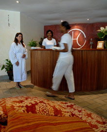 Lion in the Sun Retreat - Thalaspa Henri Chenot