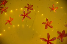 Lion in the Sun Retreat - Thalaspa Henri Chenot