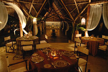 Lion in the Sun Retreat - Thalaspa Henri Chenot