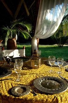 Lion in the Sun Retreat - Thalaspa Henri Chenot