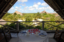 Lion in the Sun Retreat - Thalaspa Henri Chenot