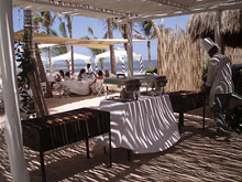 Lion in the Sun Retreat - Thalaspa Henri Chenot