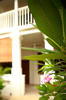 Amara Sanctuary Resort