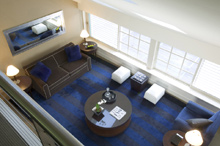 Blue Woolloomooloo Bay Sydney