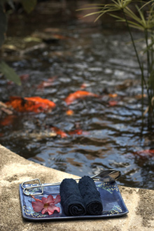 The Fairmont Royal Pavilion