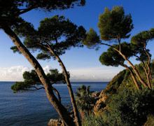 Alva Park Costa Brava(ex.Alva Park Resort & Spa)