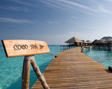 Coco Bodu Hithi