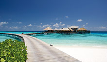 Coco Bodu Hithi